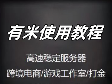 有米代理软件使用教程